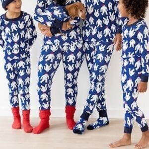 Hanna Andersson Adult Blue Yeti Pajama Set, Size Small